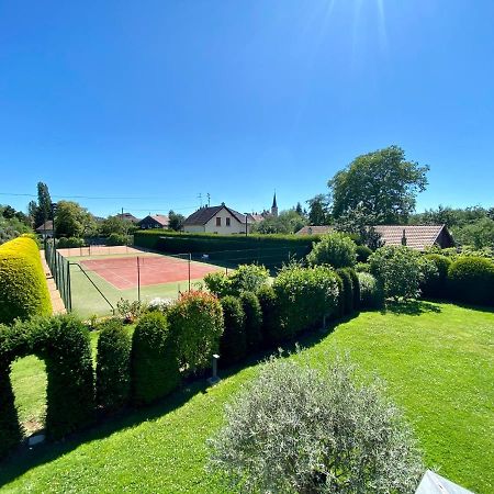 "Ma Vie La" Alsace Bed and Breakfast Kingersheim Exteriör bild
